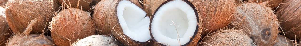 Włókno kokosowe na materace kokosowe